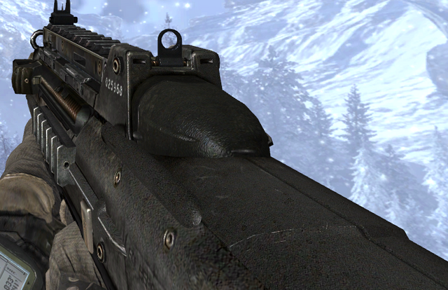 Archivo:F2000 MW2.png