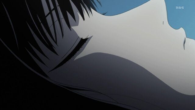Fichier:Sakura dormant.jpg