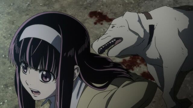 Fichier:Sakura et la chienne.jpg
