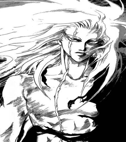 File:"His" True Form.jpg