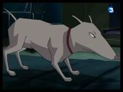 433625690 small-1-