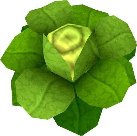 Archivo:20100731161301!Cabbage Detail.png