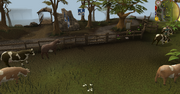 Vacas este.png
