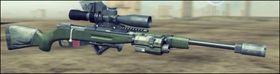 Red dawn weapons TSR