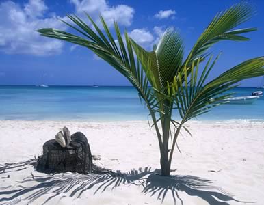 File:Dominican.jpg