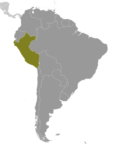 File:Pe large locator.gif