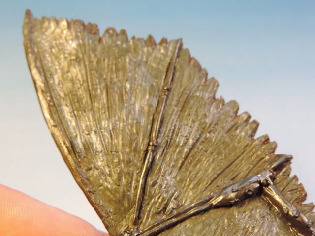 File:Dragon wings 9.jpg