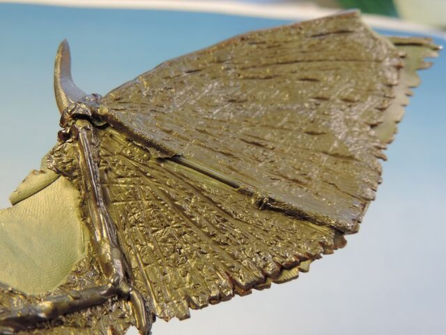 File:Dragon wings 13.jpg