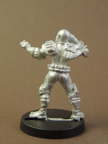 File:JD Brit-Cit Para Squad Judge - assembled - rear.jpg
