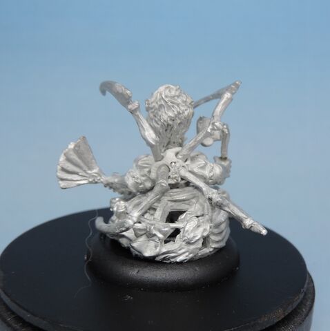 File:4A Bella Spider Aspect 3.jpg