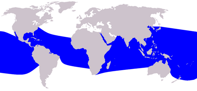 Archivo:Mapa Delfín girador.png
