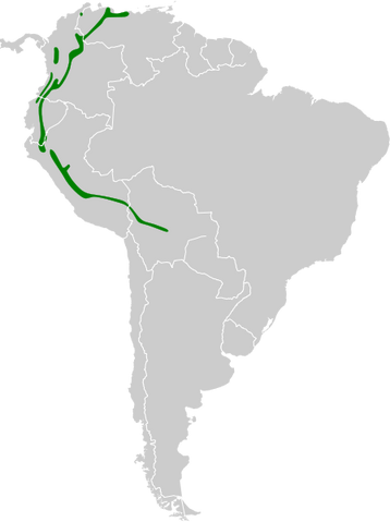 Archivo:Mapa silfo de King.png