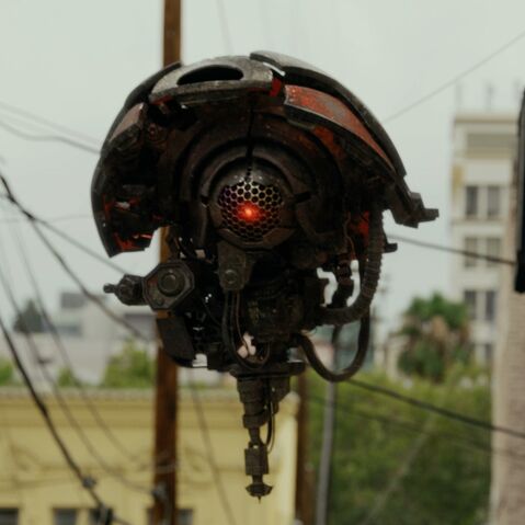 File:Drone.jpeg