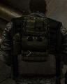 Thumbnail for version as of 20:29, October 22, 2008