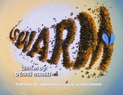 Ep 05 Swarm