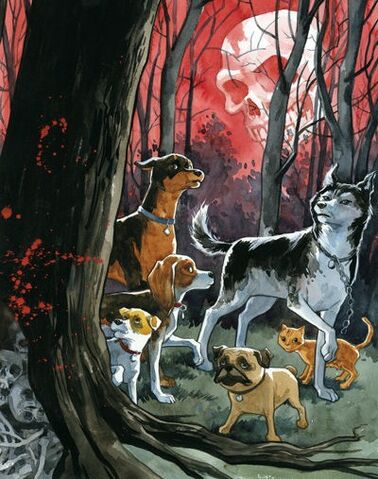 File:DARK HORSE BEAST OF BURDEN.jpg