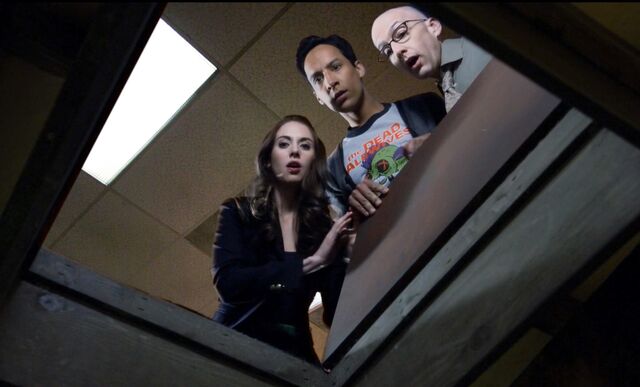 File:5x13 Trapdoor.jpg