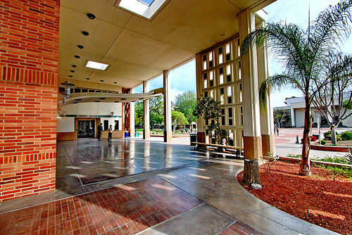 File:LACCpic1.jpg