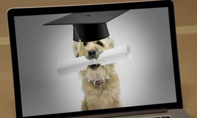 File:6x3 Ruffles the canine Greendale student.jpg