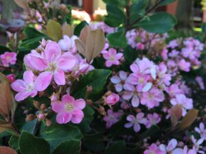 2013-04-11 11.36.08.jpg