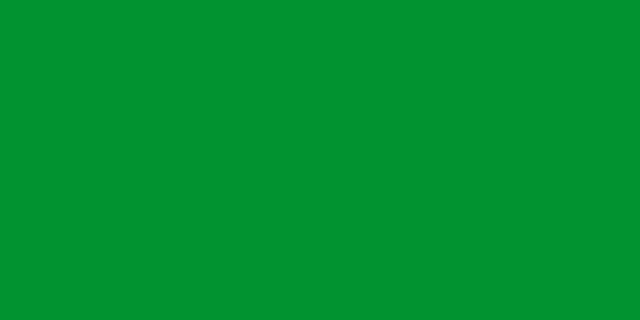 File:Flag of Libya.png