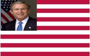 Fascistamericanflag