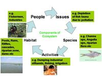 Ecosystem componants
