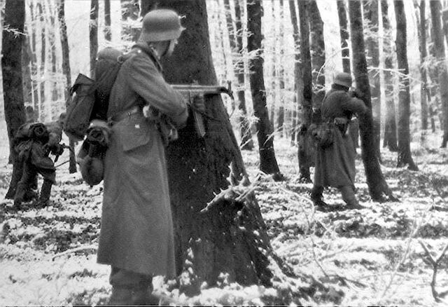 Plik:Volks.jpg
