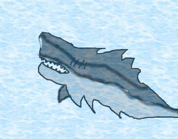 Sharkillia