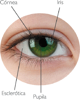 20070417klpcnavid 141.Ees.SCO.png