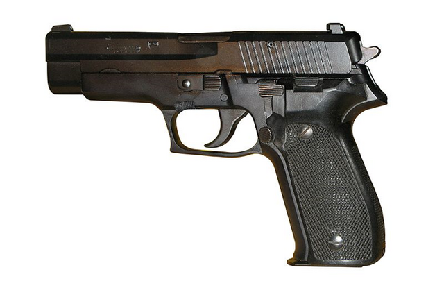 File:Sig p226.png