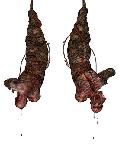File:Deform image2.jpg