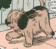 Panky3.jpg