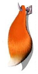 Squirrel tail