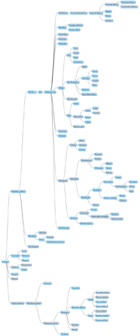 File:UnnamedPhylogeny.png
