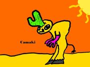 Camaki