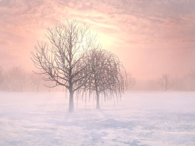 File:Icy forests galunar.jpg