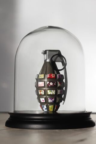 Fichier:Chat-maigre-grenade-liberty-1.jpeg