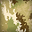 Camo multiland big.jpg