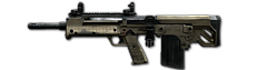 Pp rfb unlocked.png