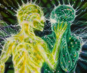 Spirits-2
