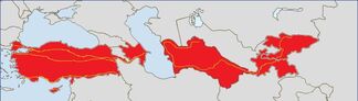 Stateroutes of turkicstan