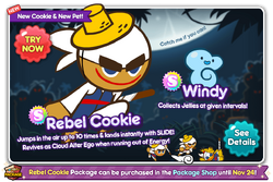 Rebel Cookie Newsletter