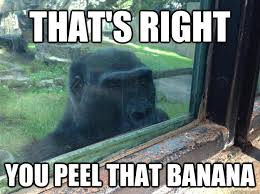 File:Peel that banana.jpg
