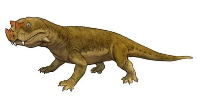 Tetraceratops Cool Dino Facts Wiki FANDOM powered by Wikia