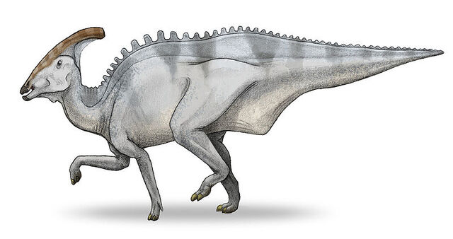 File:800px-Charonosaurus-v3.jpg