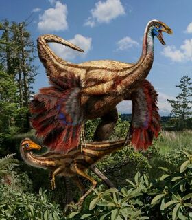 Feathered-ornithomimus