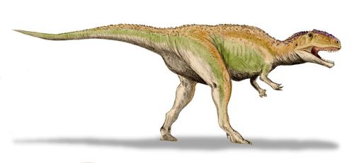 File:Giganotosaurus BW m.jpg