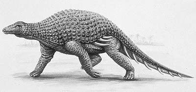 Silvisaurus