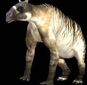 Ancylotherium